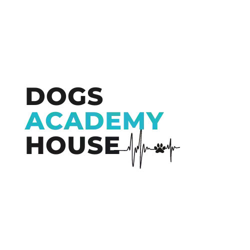 Dogs Academy House