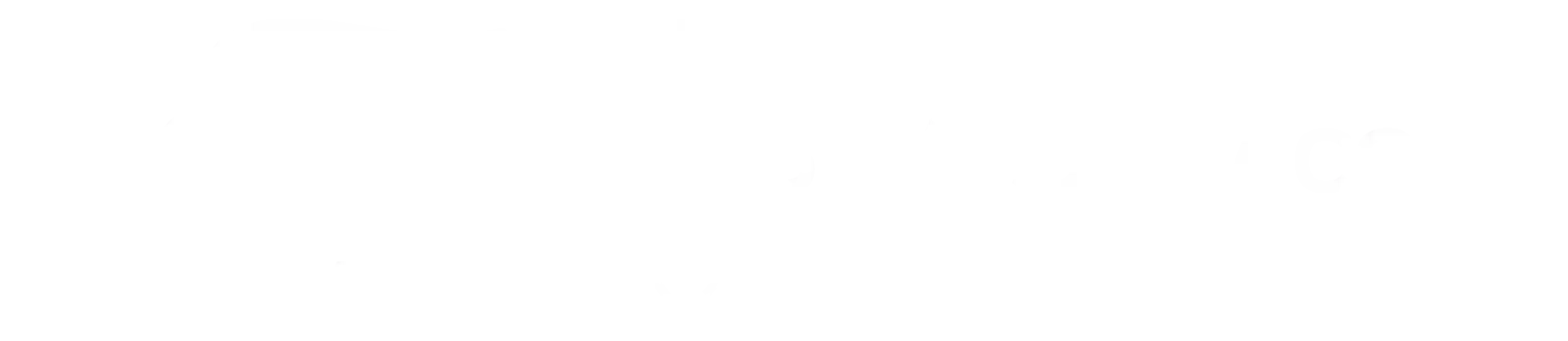 Bra Service srl