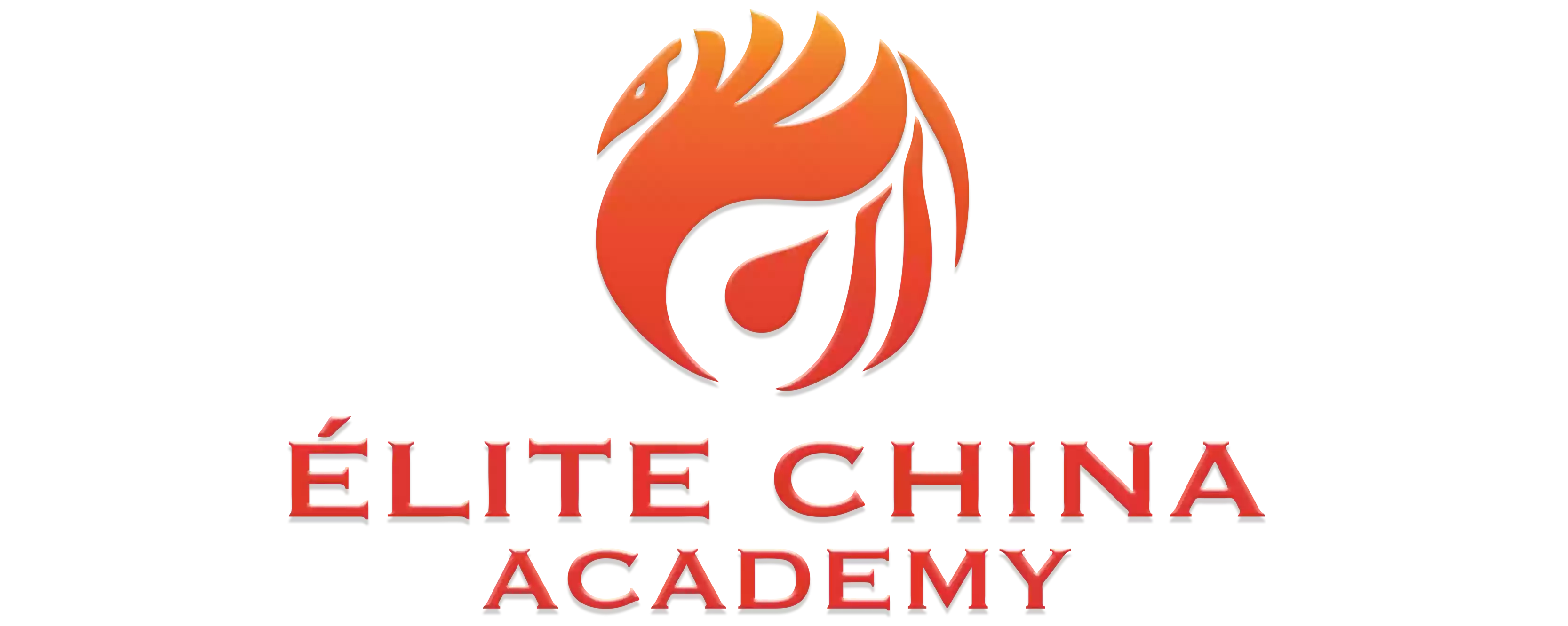 Élite China Academy