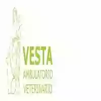 Ambulatorio Veterinario Vesta STP s.r.l.