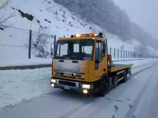 Soccorso Stradale, Carroattrezzi, Autofficina Palluzzi