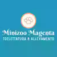 MINIZOO MAGENTA - Toelettatura e Allevamento