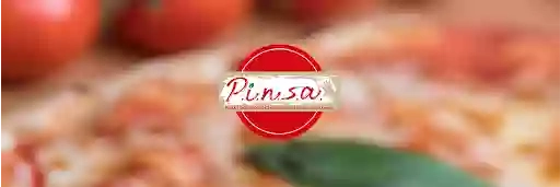 P.I.N.S.A.