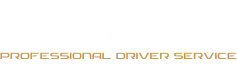 VIVALDI PROFESSIONAL DRIVER SERVICE MILAN