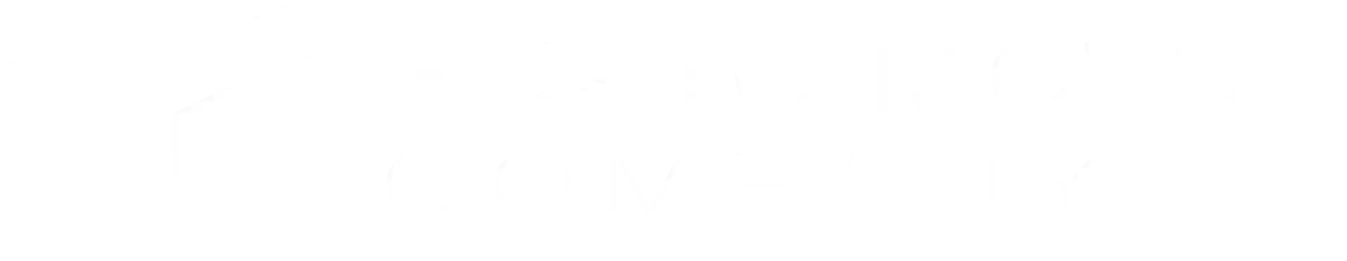 BUSTO MOTOR COMPANY S.R.L.