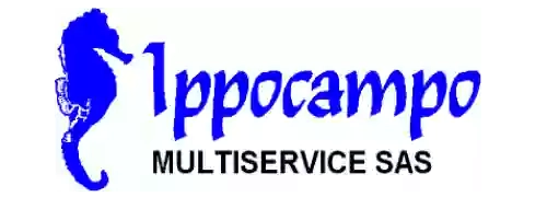 Ippocampo Multiservice Sas