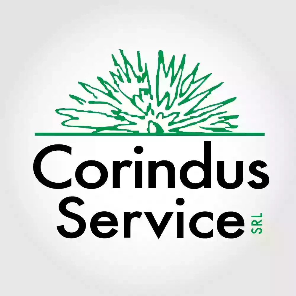 Corindus Service srl