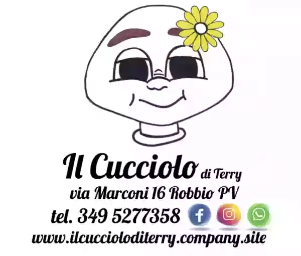 Il Cucciolo