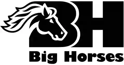 Big Horses di Bologna Barbara