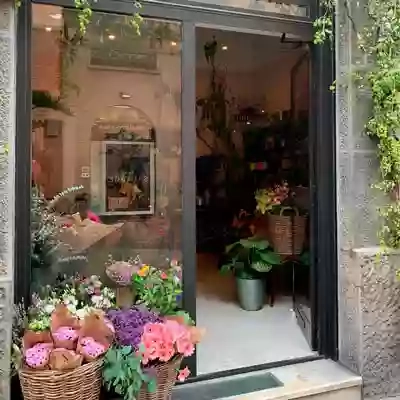Frida's Busto Arsizio Italian Flower Stores