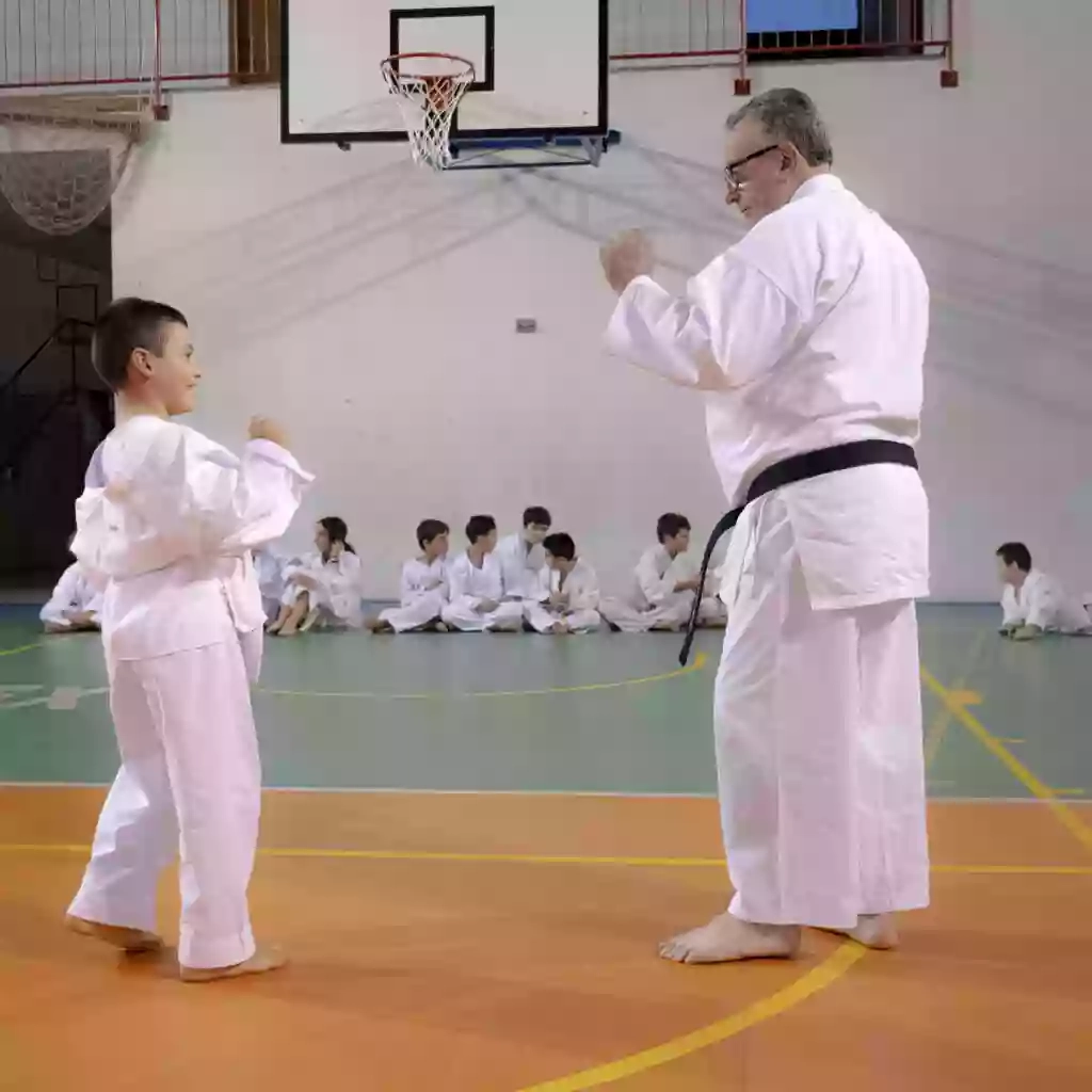 A.S.D. Gorin Karate-Do Pavia - Vistarino