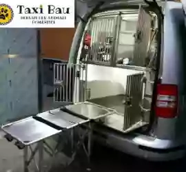 Taxi Bau
