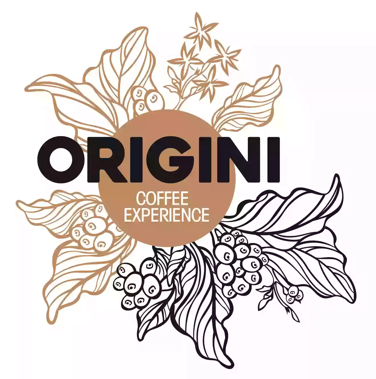 Caffè Origini (torrefazione caffè e produzione tè)