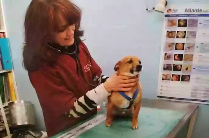 Ambulatorio Veterinario Pero - Dott.ssa Laura Muggiani