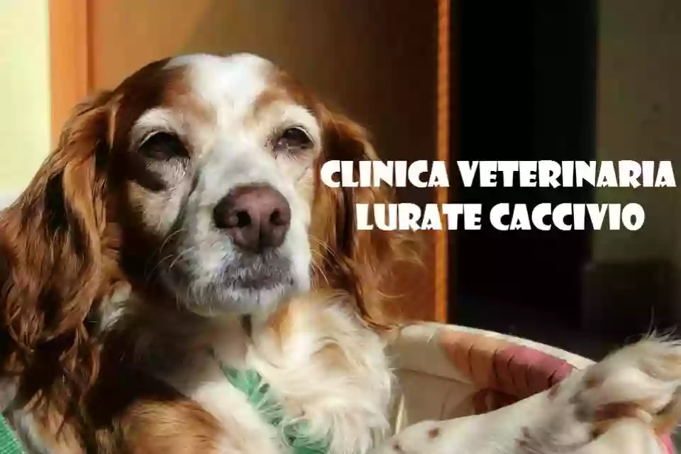 Clinica Veterinaria Lurate Caccivio