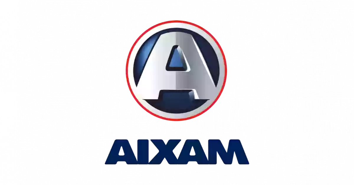 Aixam Resicar Novara