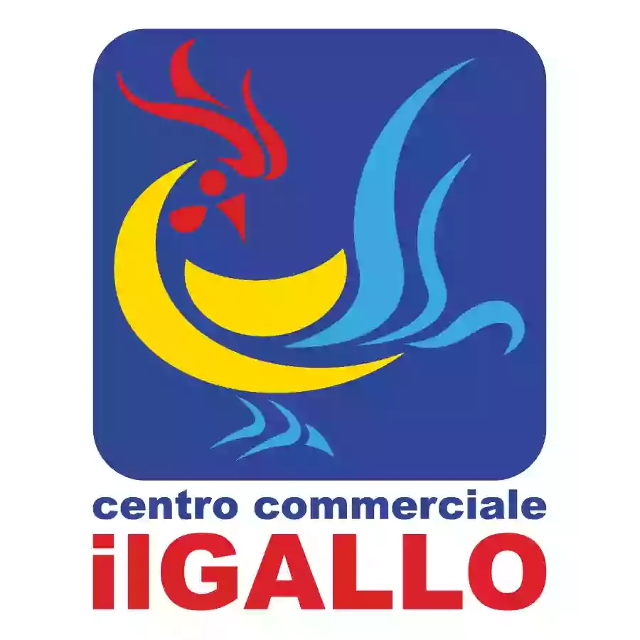 Centro Commerciale Il Gallo Galliate