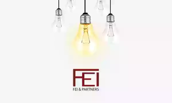 FEI & PARTNERS