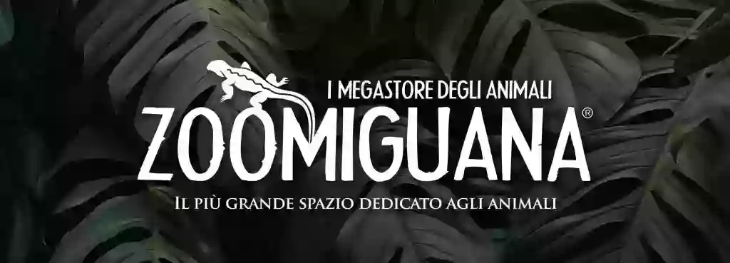 Zoomiguana Il Megastore Degli Animali