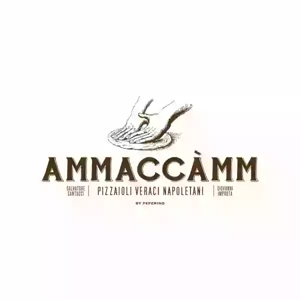 Ammaccamm