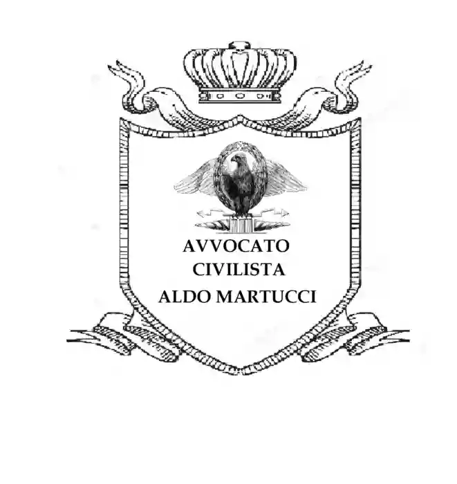 Avvocato Civilista Aldo Martucci