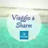 Viaggio a Sharm - Offerte Sharm