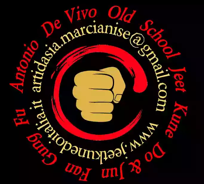 De Vivo Old School Jeet Kune Do International