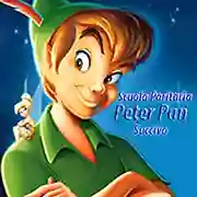 SCUOLA PARITARIA PRIMARIA - INFANZIA - NIDO "PETER PAN"