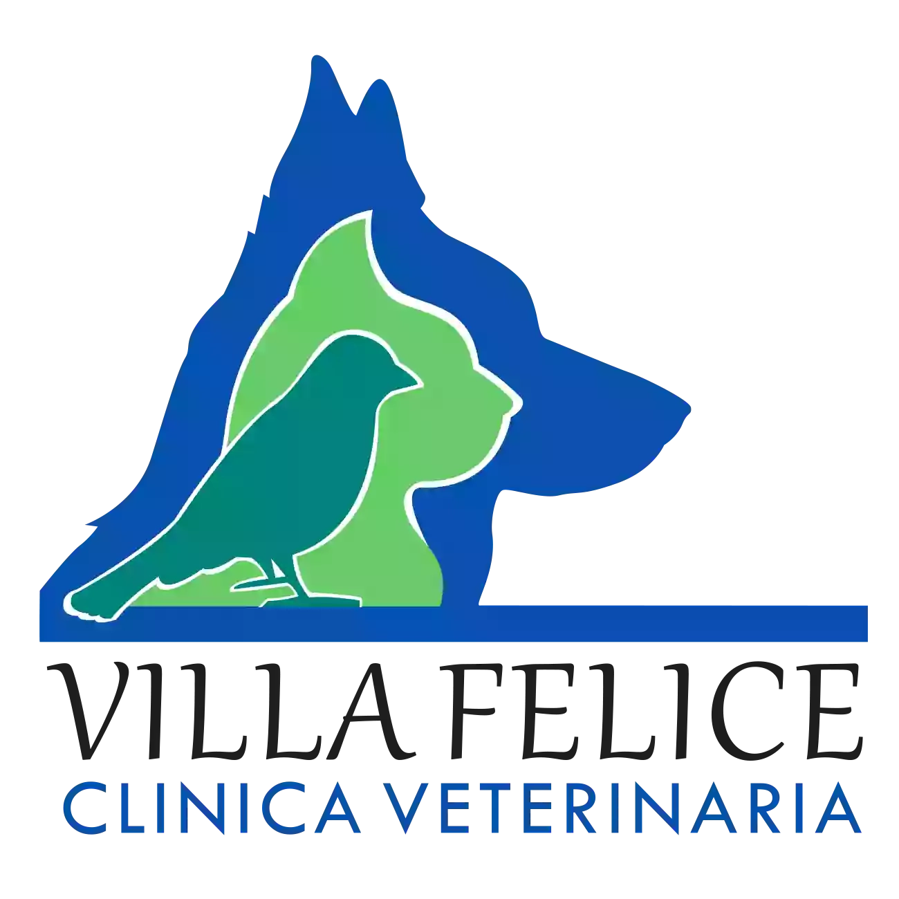 Clinica Veterinaria Villa Felice