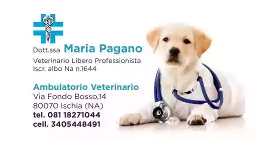 ambulatorio veterinario dott.ssa Maria Pagano