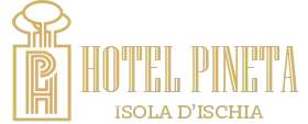 Hotel Pineta
