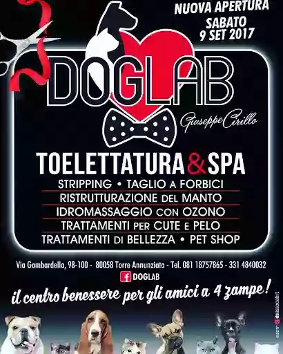 Toelettatura Torre Annunziata - DOGLAB