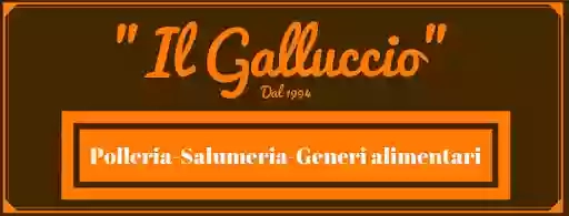Polleria "Il Galluccio"