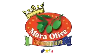 Ingrosso Olive- Mara Olive Sas Di Manfellotto Antonio