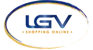 Lgv elettronica