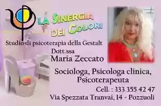 Dott.ssa Maria Zeccato - Psicologa Psicoterapeuta