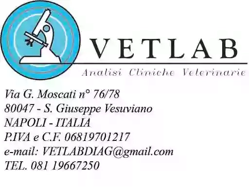 VetLab analisi cliniche veterinarie