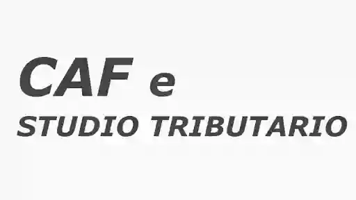 Caf Busto Arsizio, contabilità, successioni, dichiarazioni dei redditi, regime forfettario.