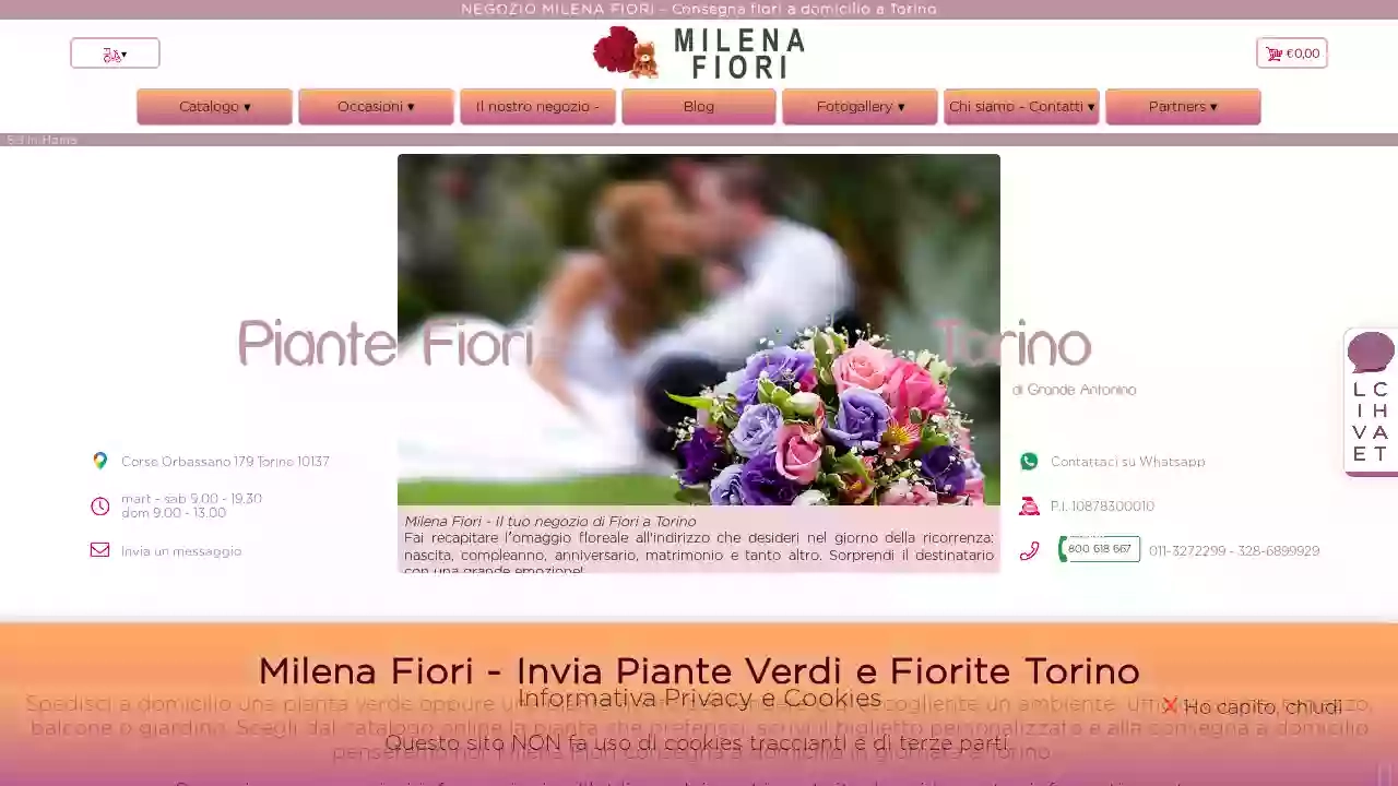 Fioraio Milena Fiori Torino