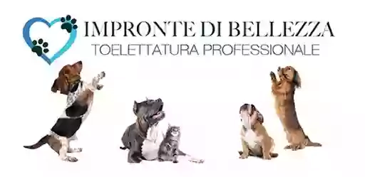 Impronte di Bellezza Ciriè