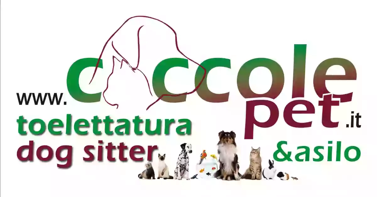 Coccole Pet Torino