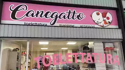 Canegatto Di Zilli Ilenia