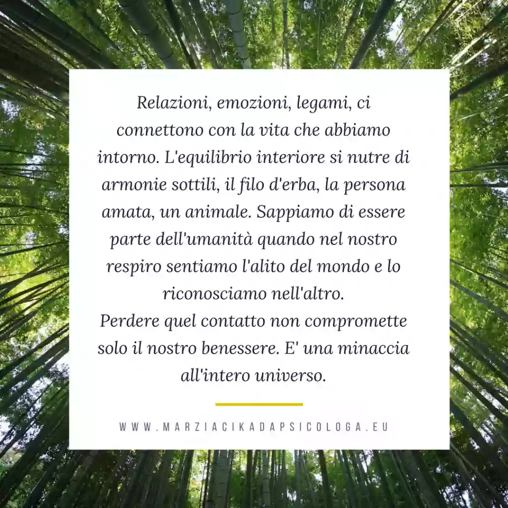 Studio di Psicologia e Psicoterapia - Marzia Cikada Terapia di coppia, Sex Counselor e EMDR