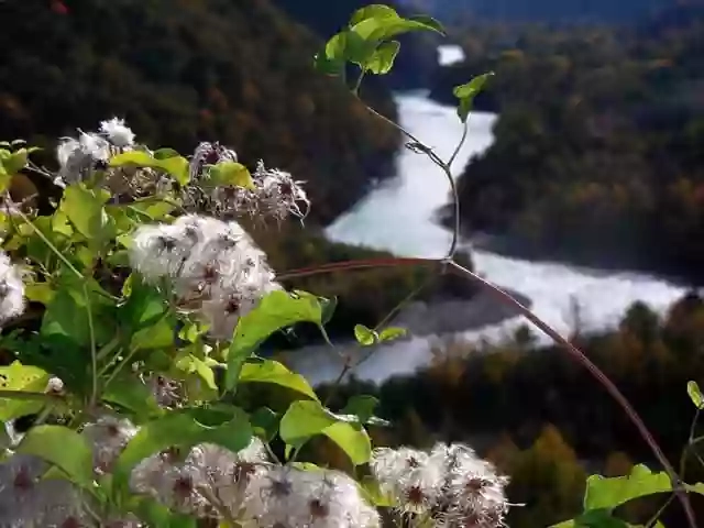 Riverside Rafting