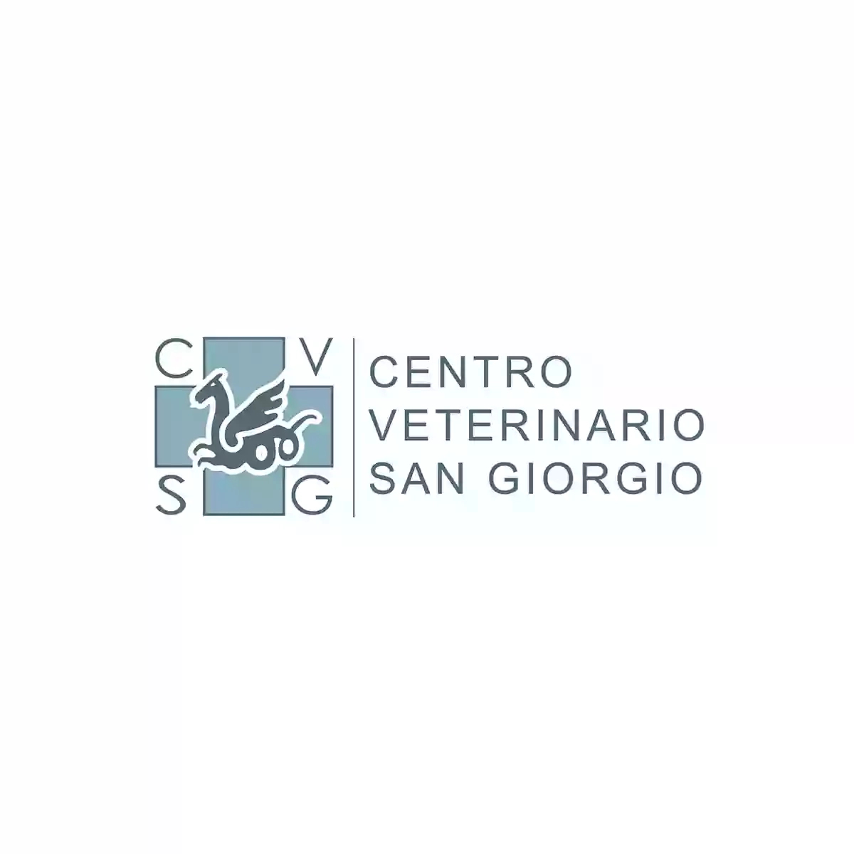 Centro Veterinario San Giorgio di Dr. Sergio Comoglio