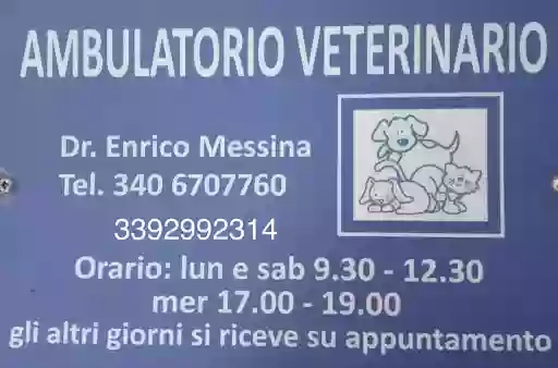 ambulatorio veterinario dott. Messina Enrico