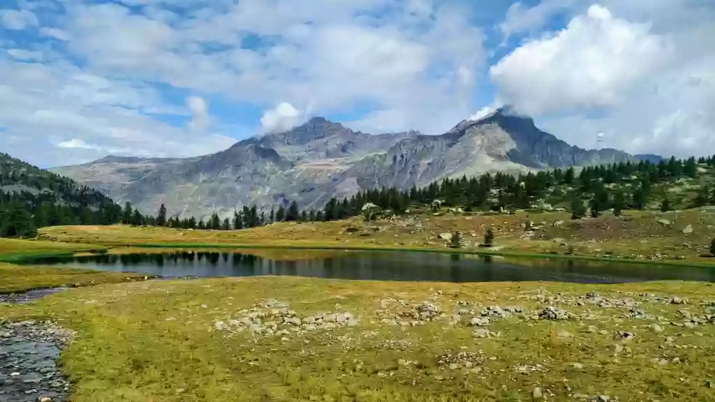 The Walking Bob - Escursioni & Trekking