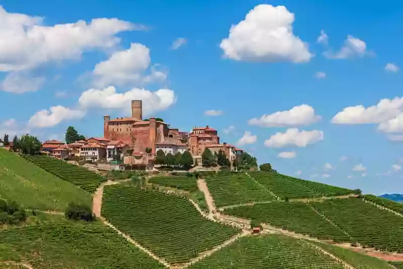 Piedmont Wine Tours, Alba Travel Guide