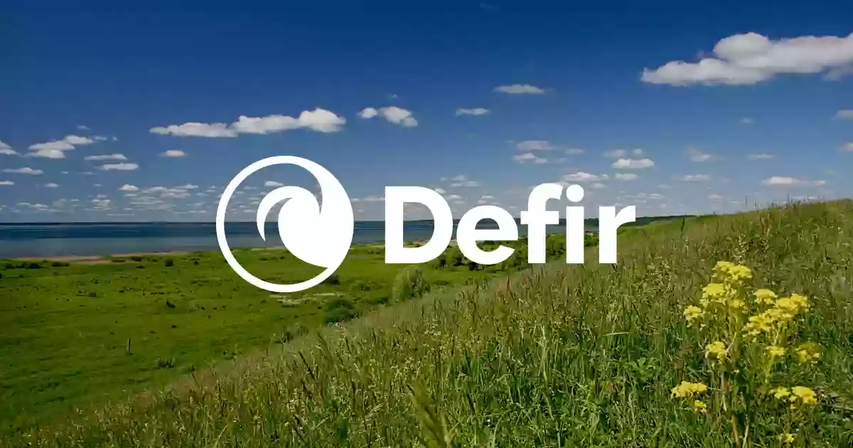 Defir Srl - Detergenti Industriali e Prodotti per la Pulizia - Torino