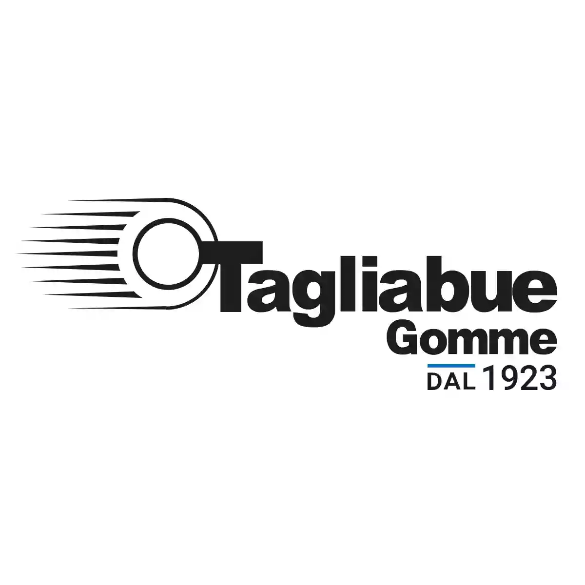 Tagliabue Gomme Gross Srl - Asti